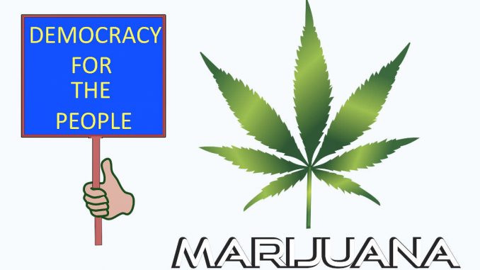 cannabis-eferendum